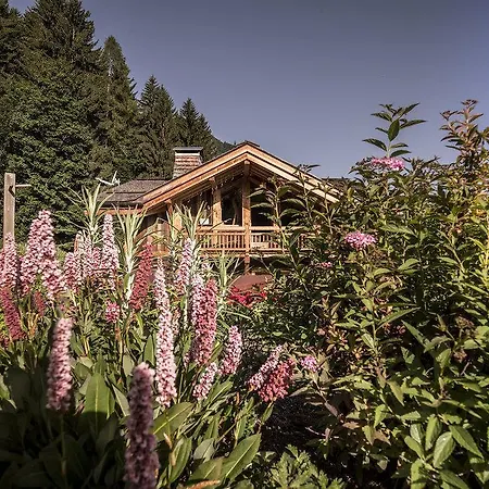 Bed & Breakfast Blackrock Ski
